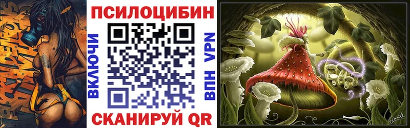 Галлюциногенные грибы Psilocybe  Россошь 